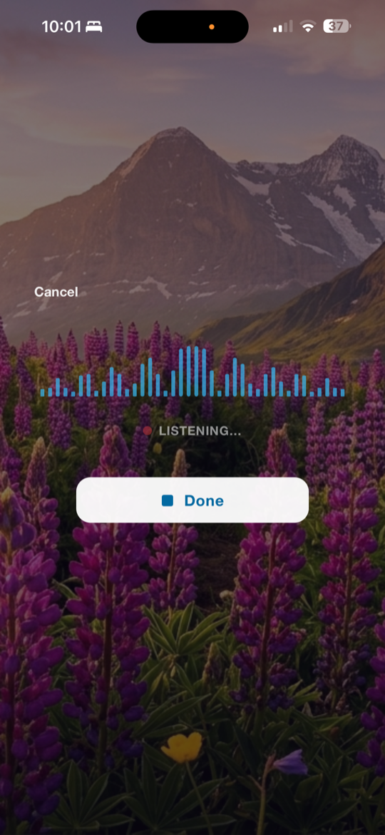 Immunally voice logging — speaking a daily health update that becomes symptom, food, and sleep logs